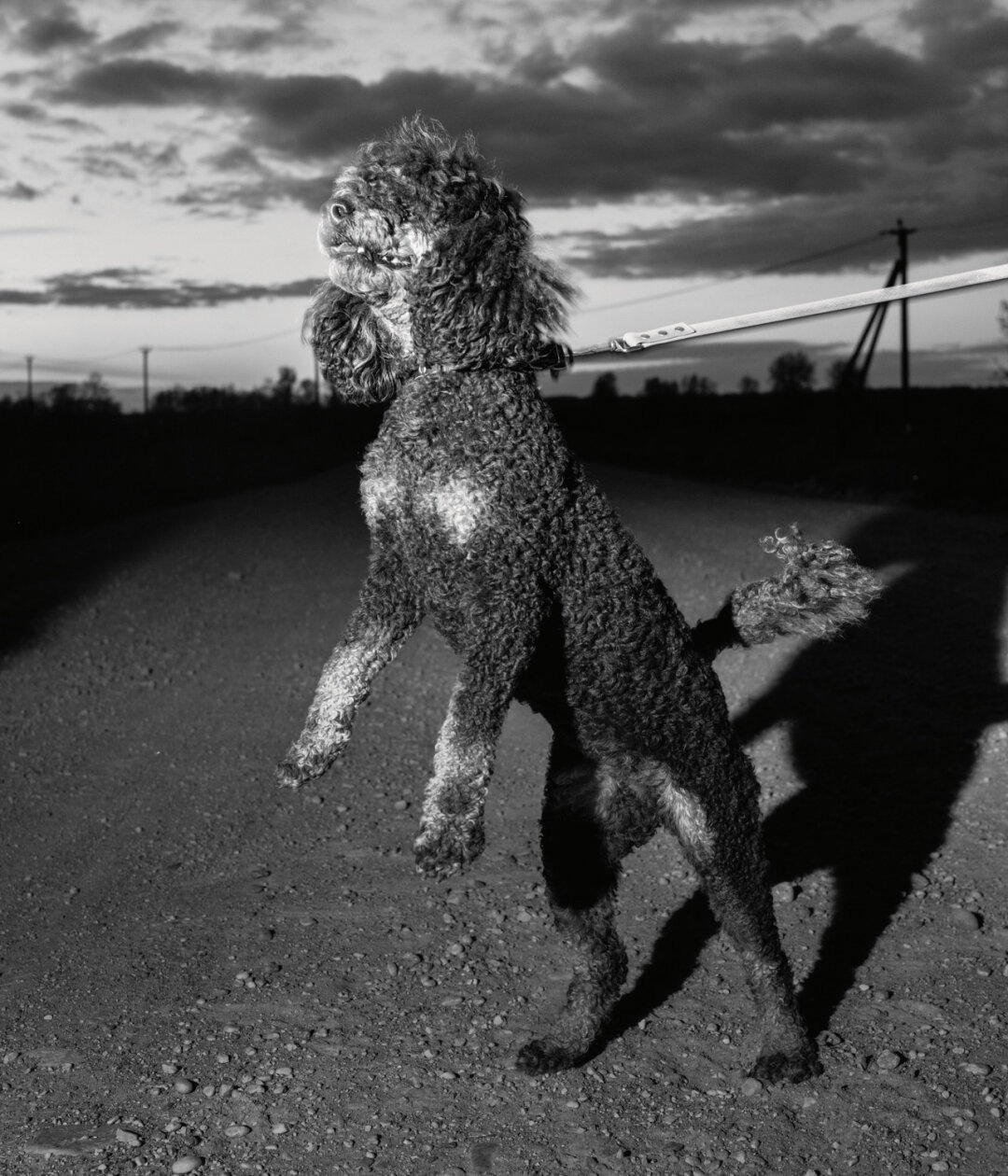 Полина Рукавичкина. «М.». Фотография, пигментная печать. 2024