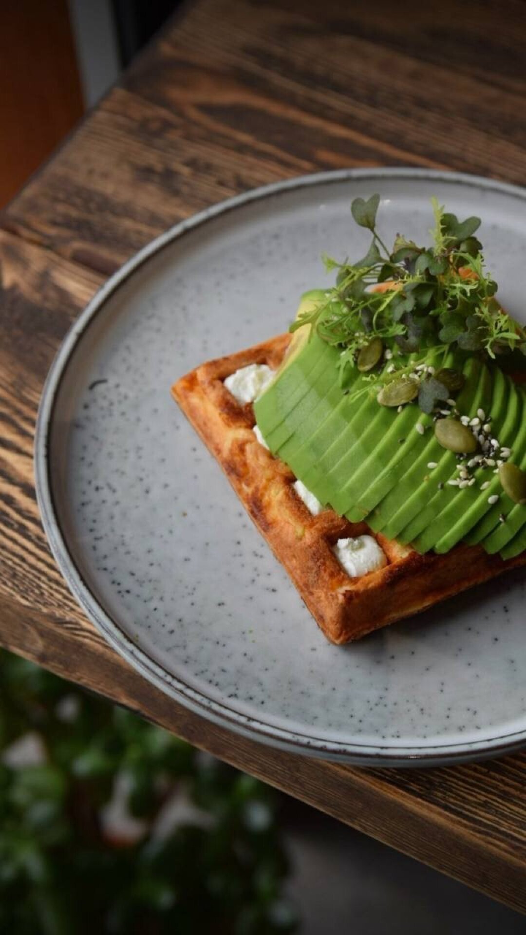 Сырный брюгге с авокадо