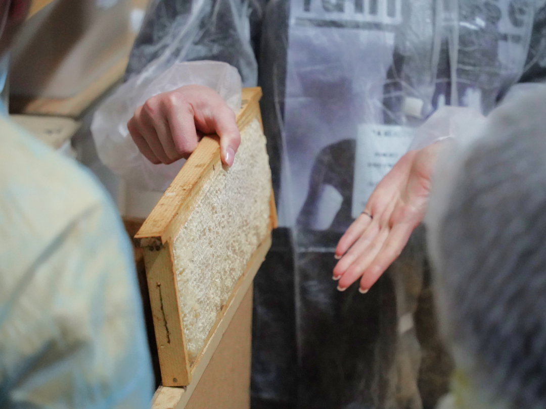 «Тенториум Руланд»