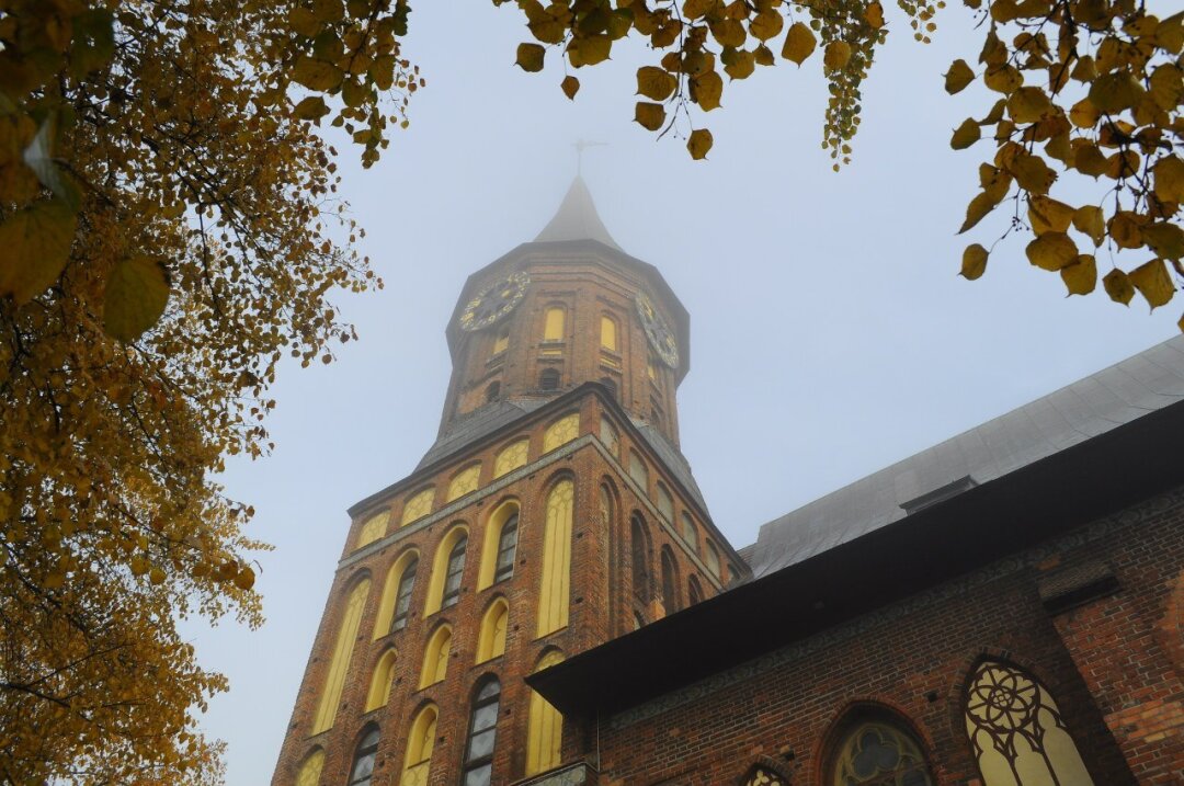 Кафедральный собор в Калининграде