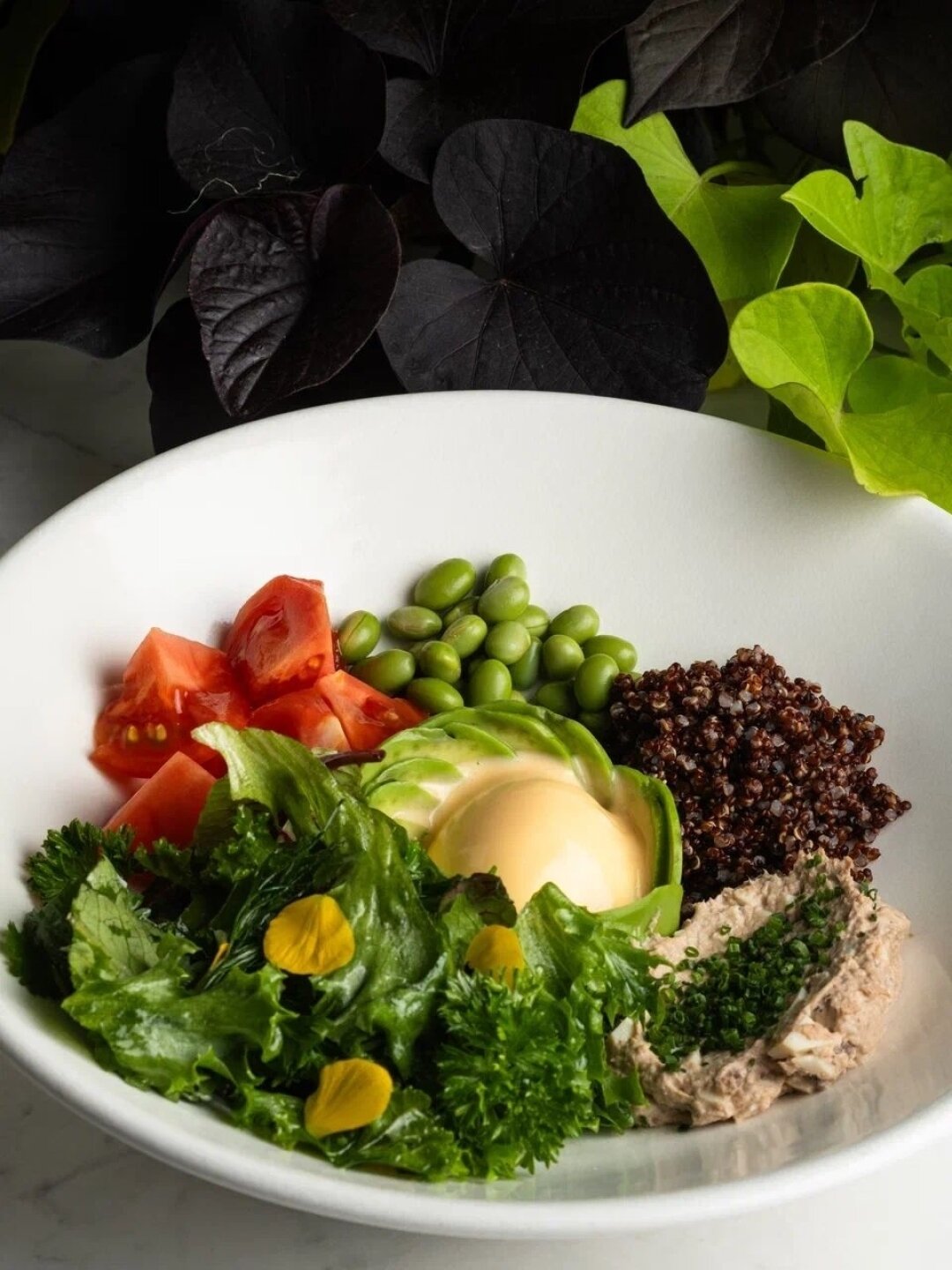 "Гроза", Кострома