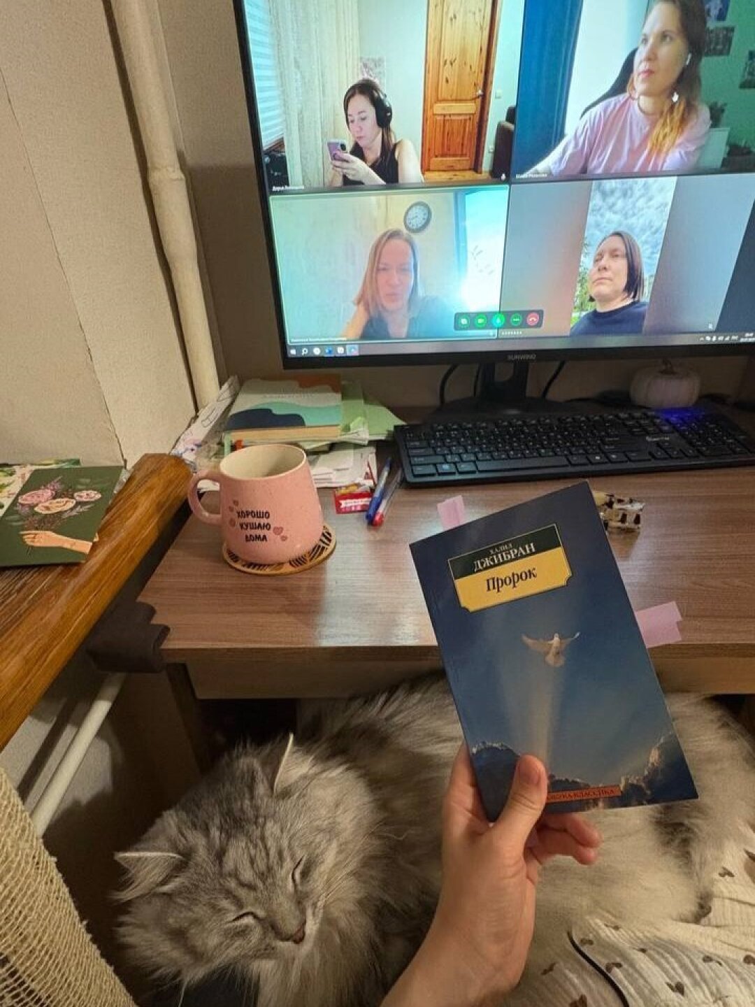 Онлайн-встреча книжного клуба Даши Лисицыной