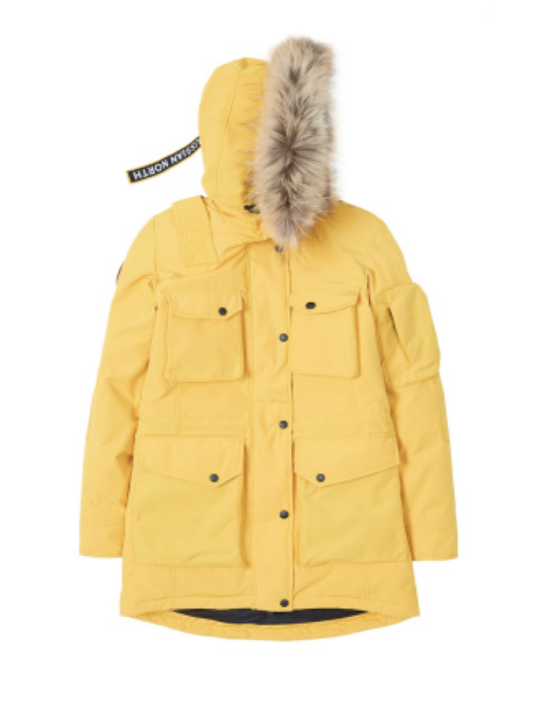 My Arctic Explorer, 100 000 руб.