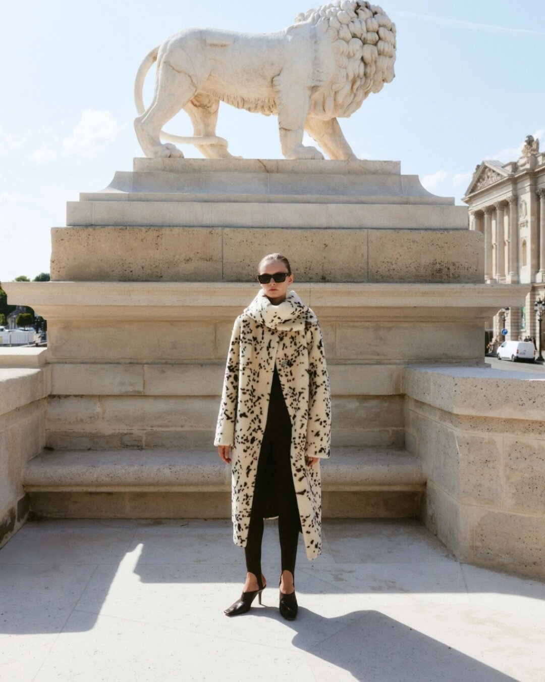 Ivolga, 79 230 руб.