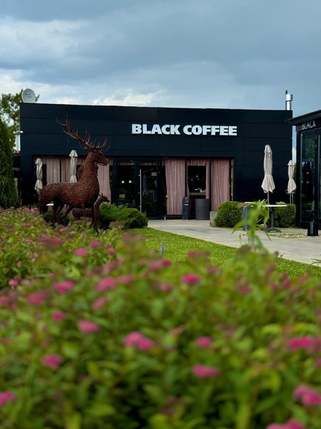 кофейня Black Coffee, Туношна