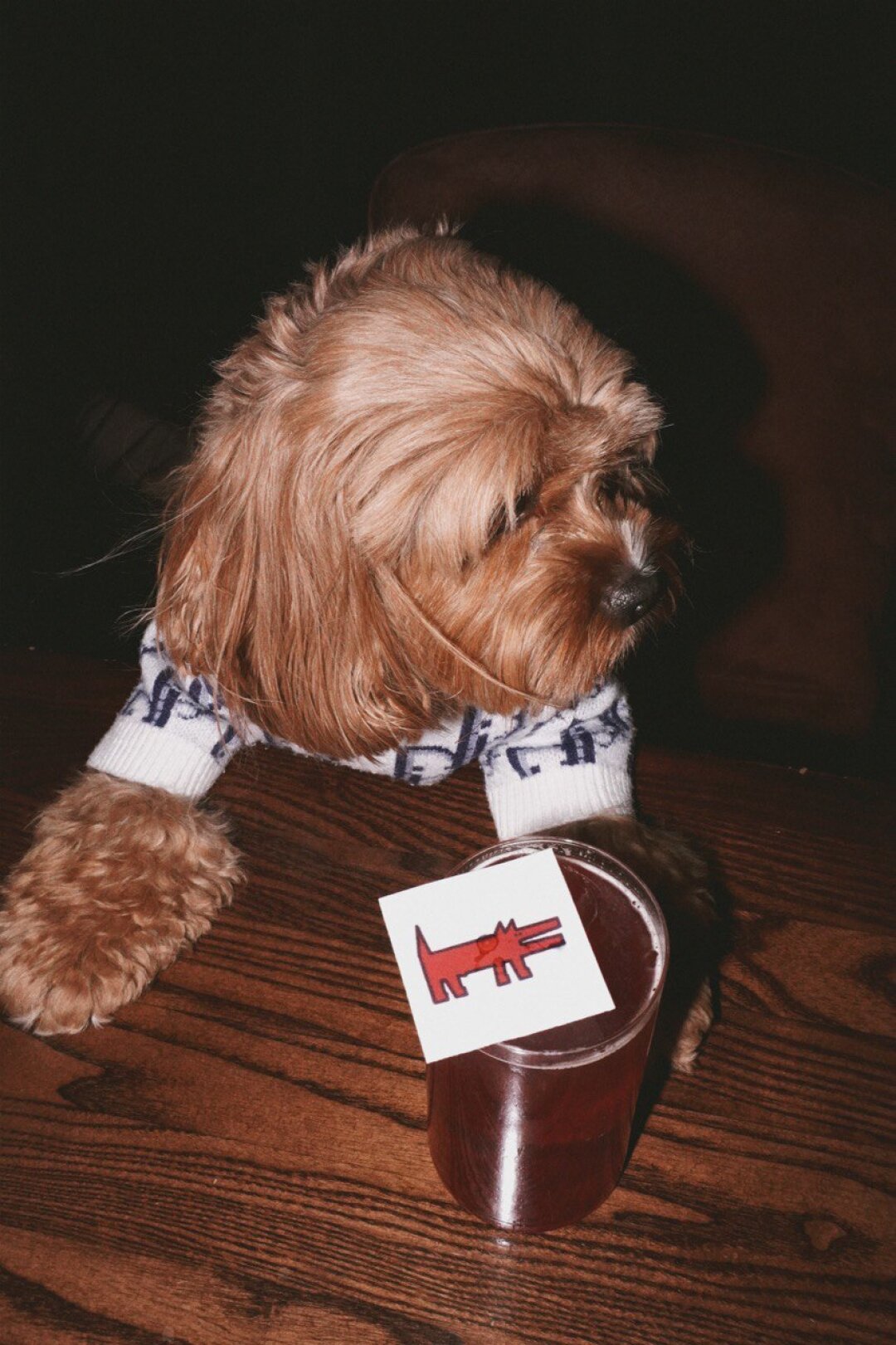 Red Portal Spritz от бара «Огонек»