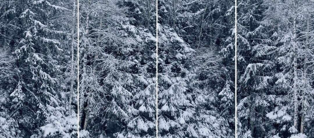 Захар Коловский "Без названия", 2010-2020-е