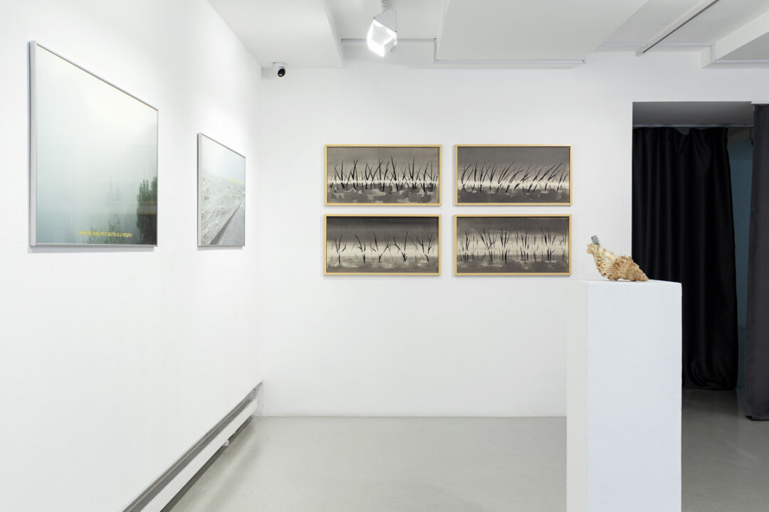 Фрагмент экспозиции Mist