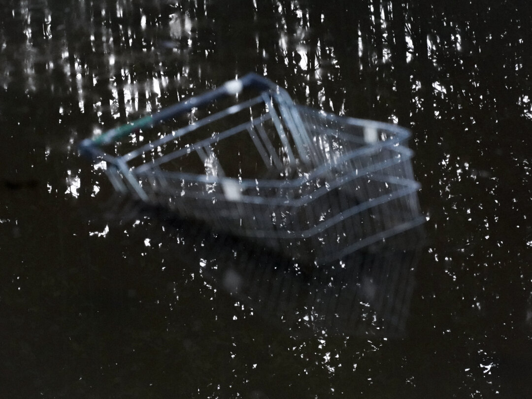 Павел Борисенко