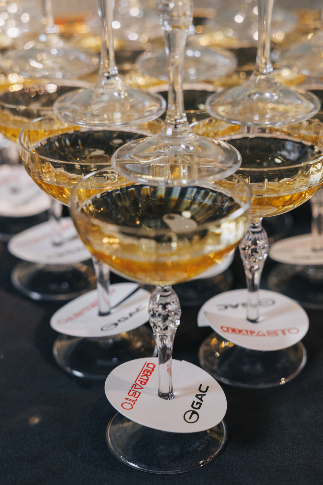 партнер мероприятия компания «Спектр-Авто» — официальный дилер автомобилей GAC в Ярославле