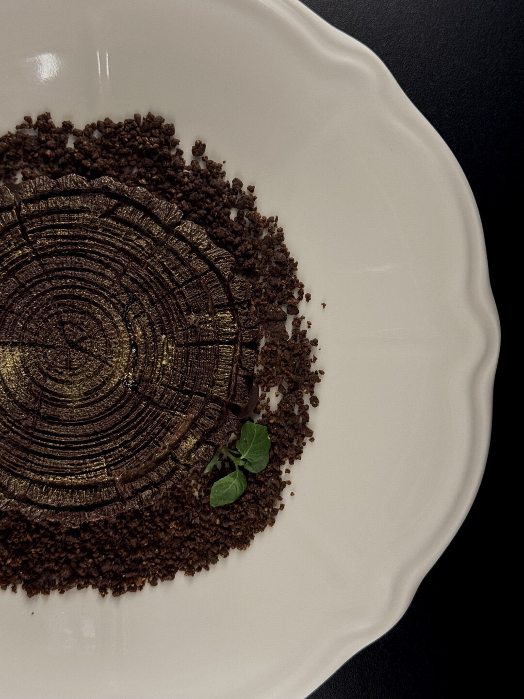 «Пихтовое кольцо» из Aura Kitchen&Bar