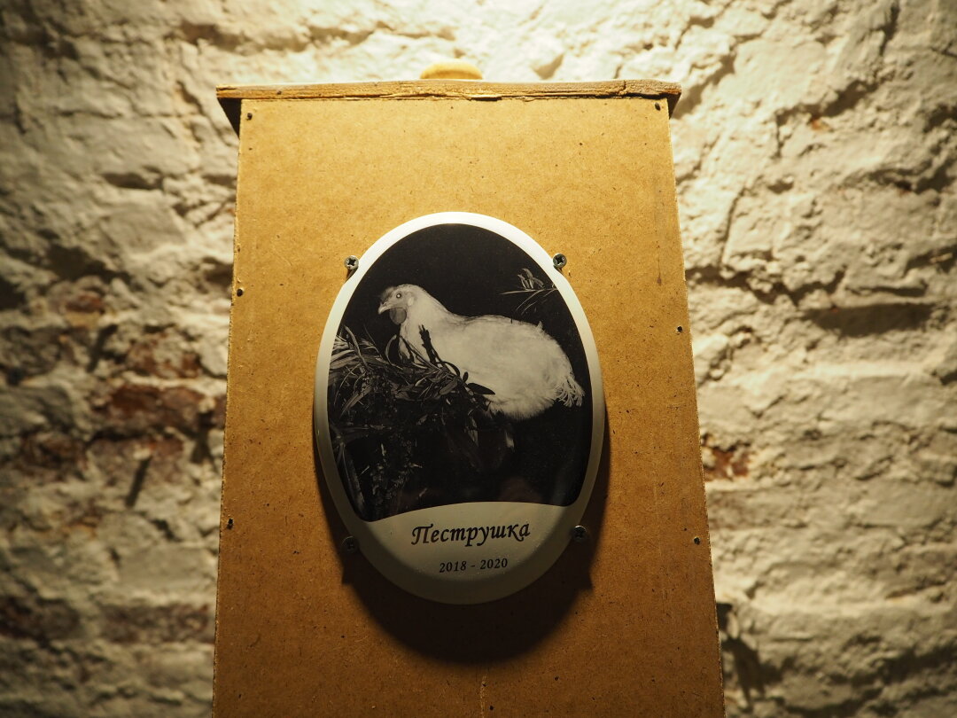 Зина Николаева. «Пеструшка». 2025