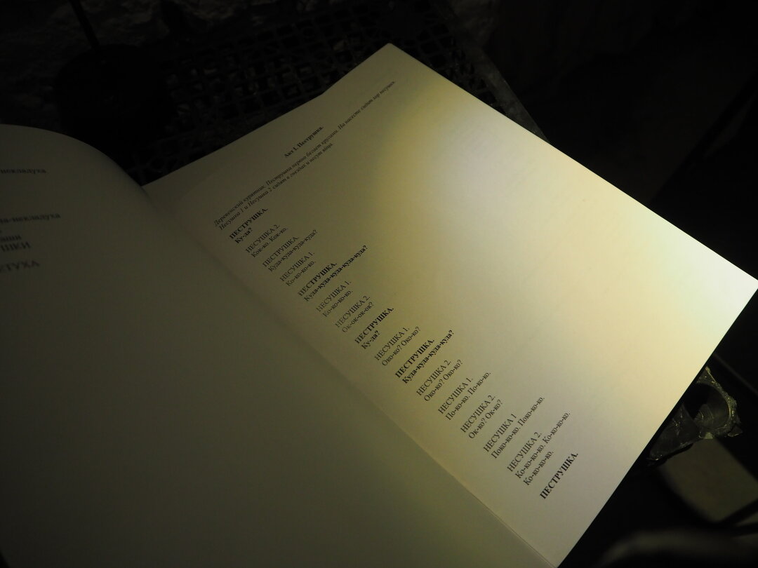 Зина Николаева. Из либретто к опере «Пеструшка». 2025