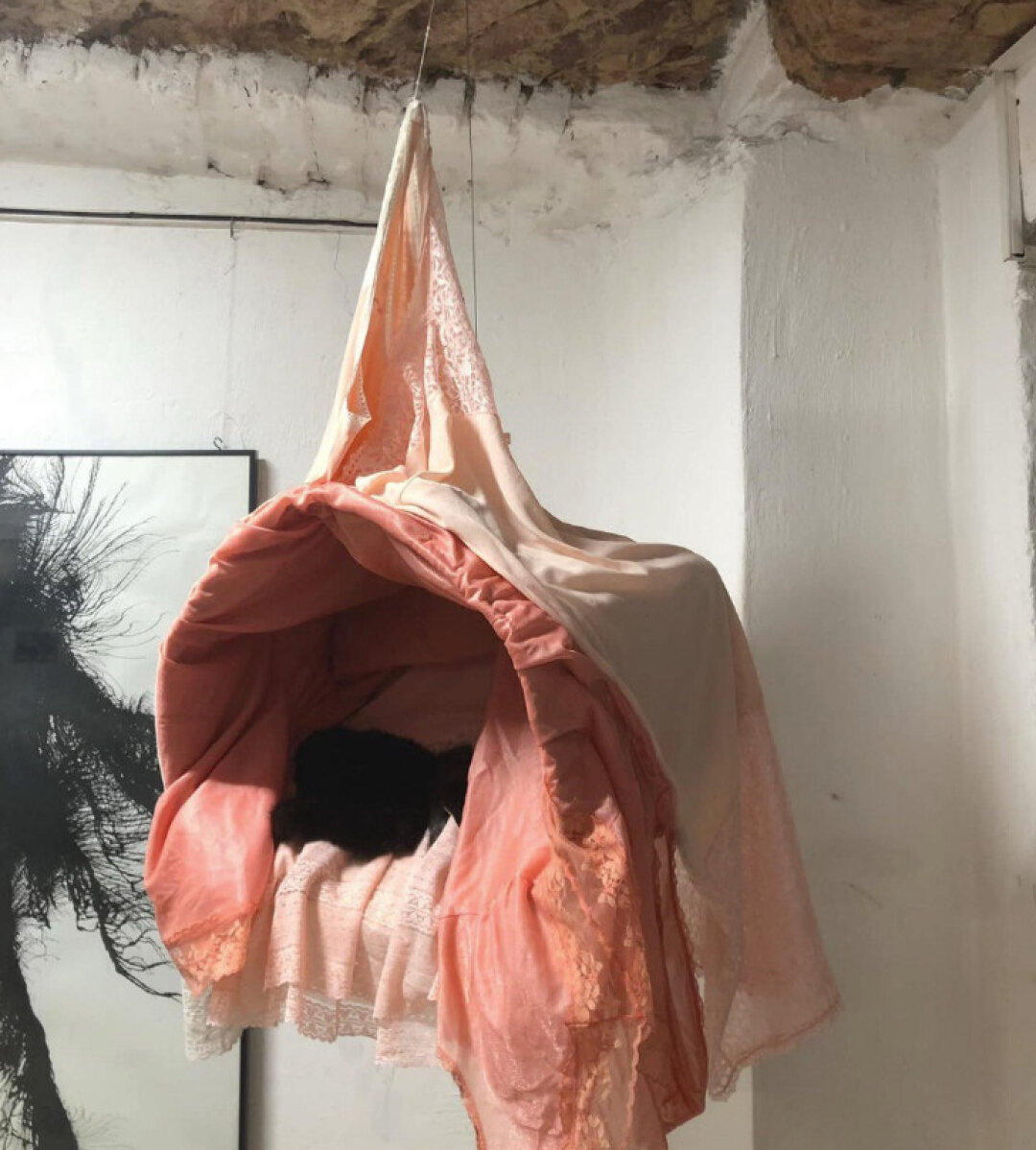 Эмилия Санги. Ловушка для гороховой плодожорки. 2025