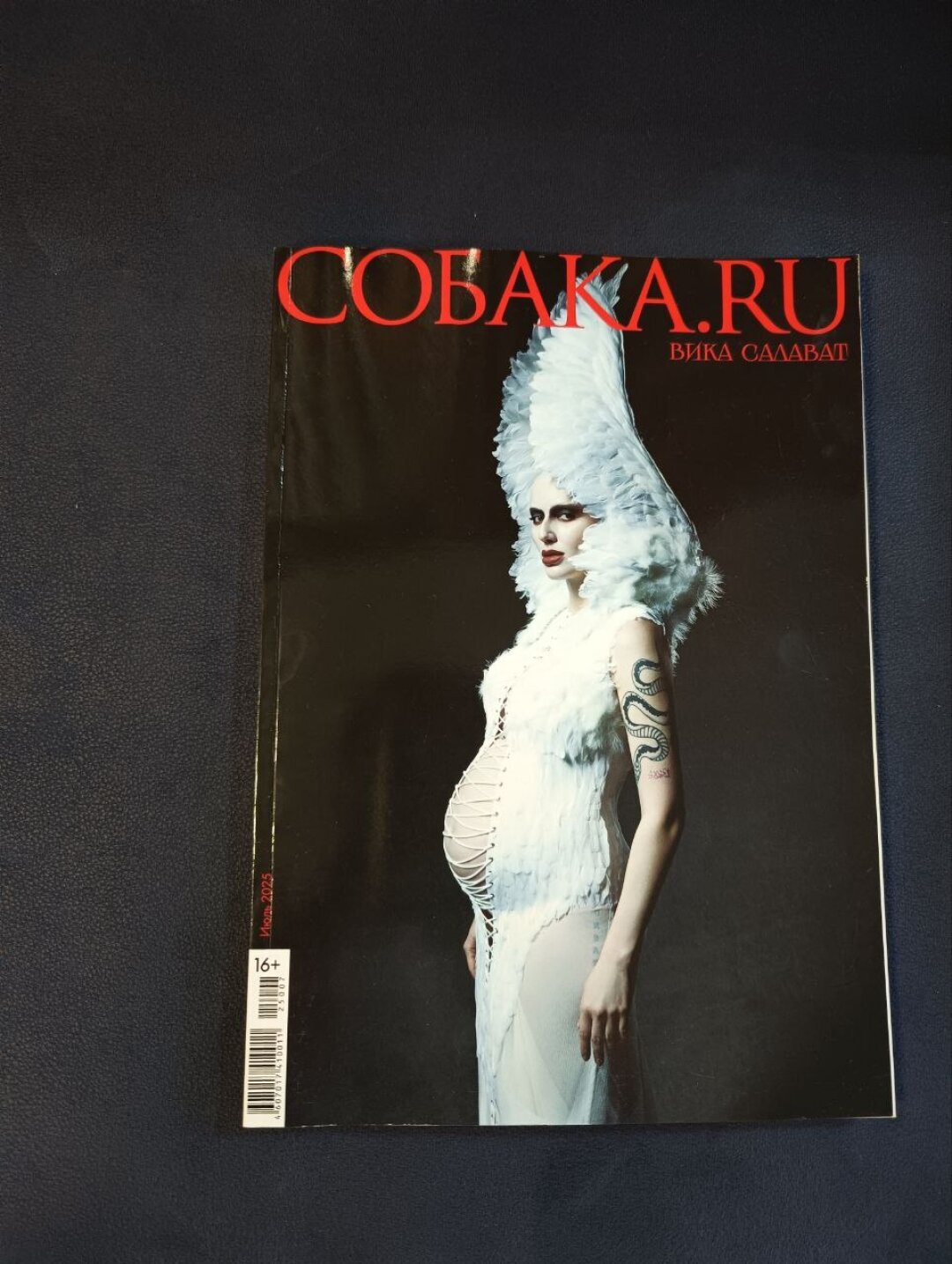 Исходная фотография (фото: Константин Крылов)