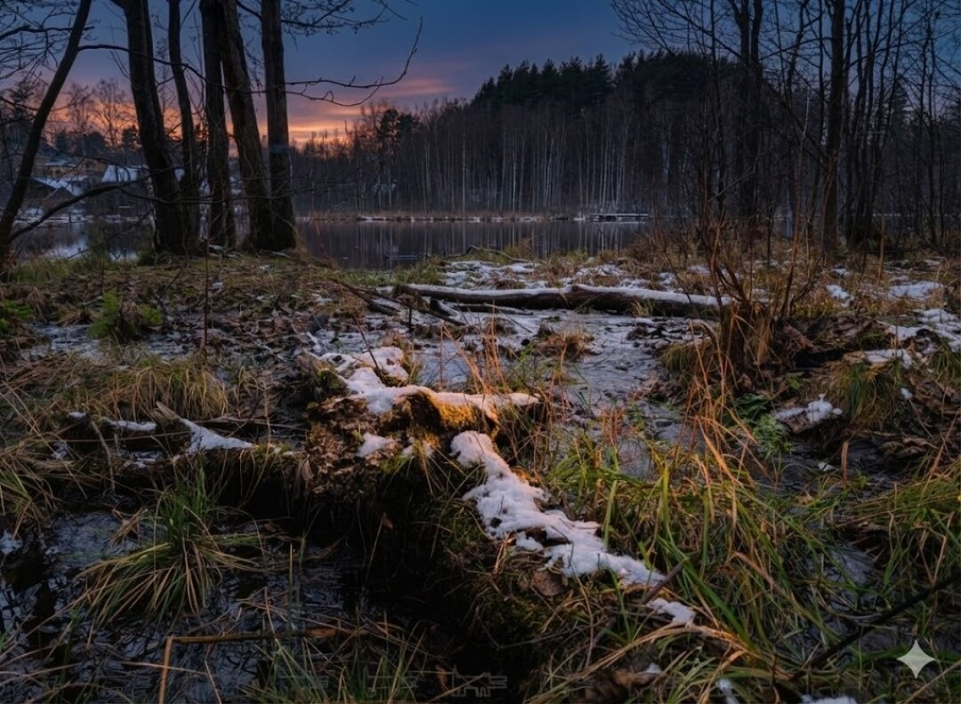 Фотография из материала Собака.ru (генерация Nano Banana Pro)