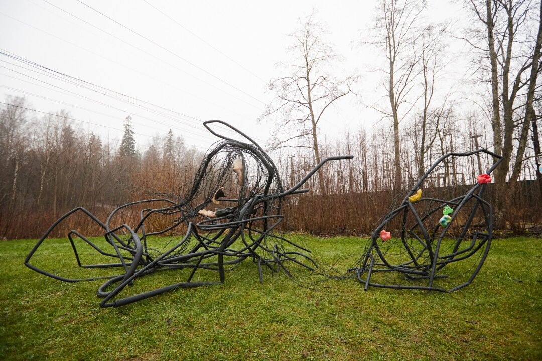 Ксения Воскобойникова. Из проекта «Где начинается речь дерева». 2025