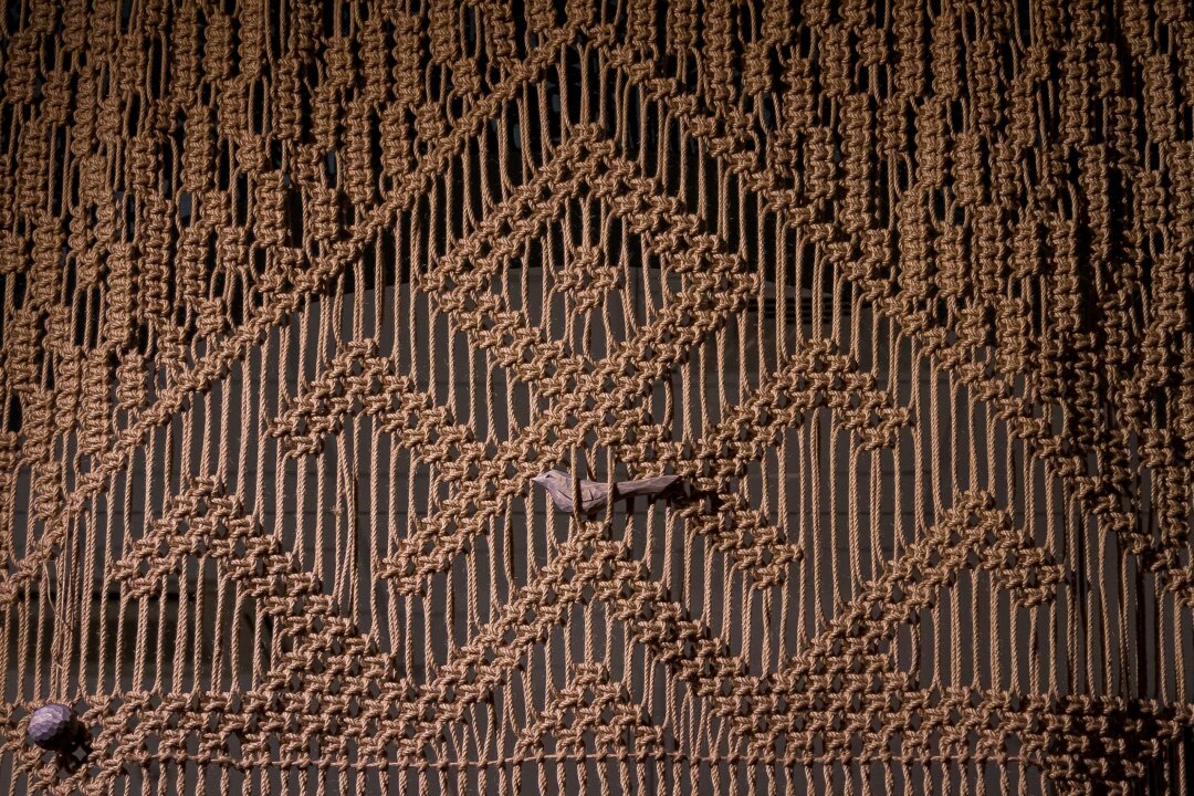 Выставка «Кто МЫ/Кин Ме»