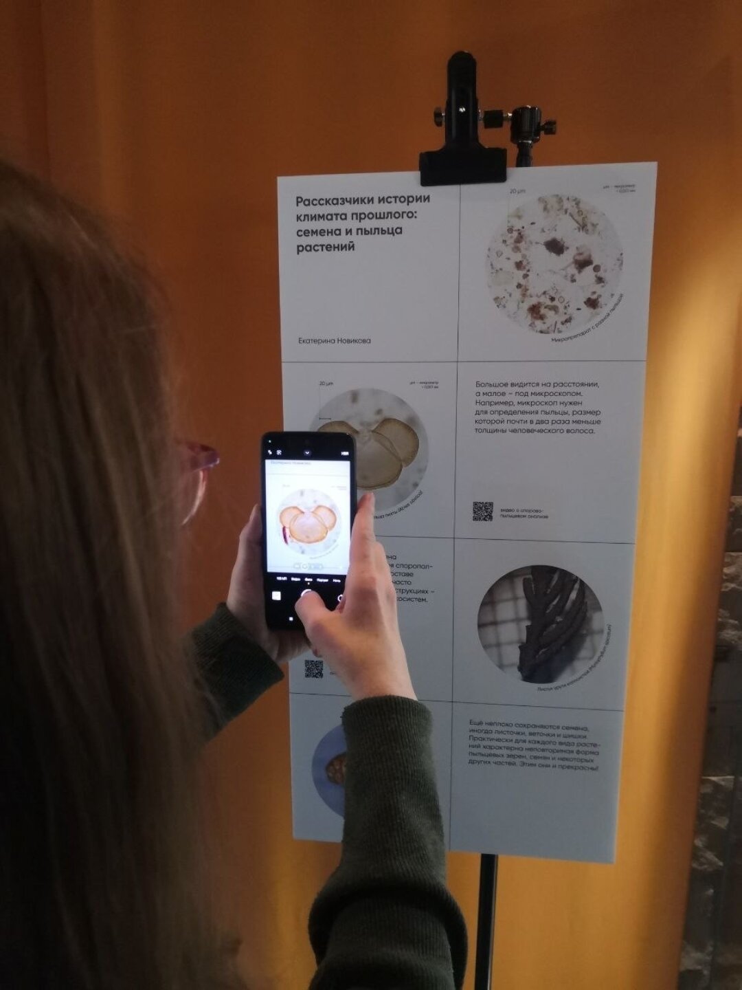 Выставка «После льда: неглубокая древность Прикамья»