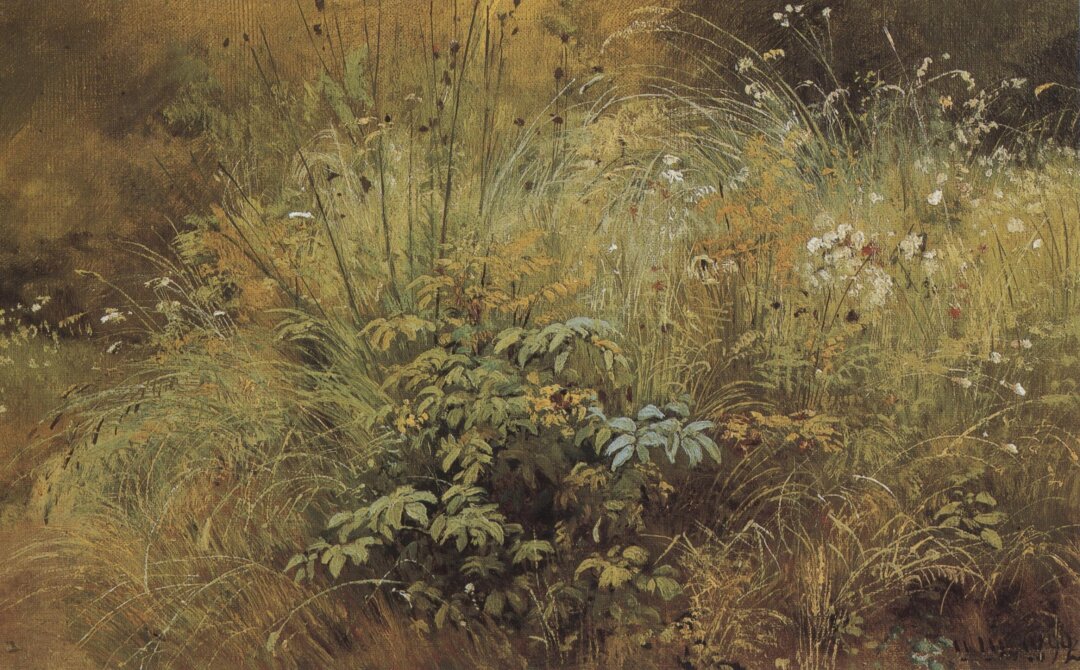 Иван Шишкин, "Травки", 1892