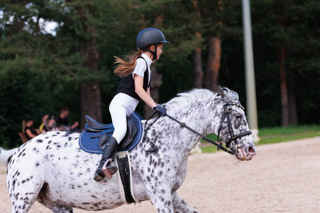 Илария Семак профессионально занимается конкуром: четыре лошади из семейной коллекции — ее спортивные партнеры