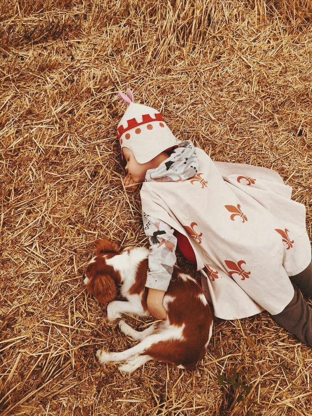 Костюм рыцаря Provolka, 14 900 руб.