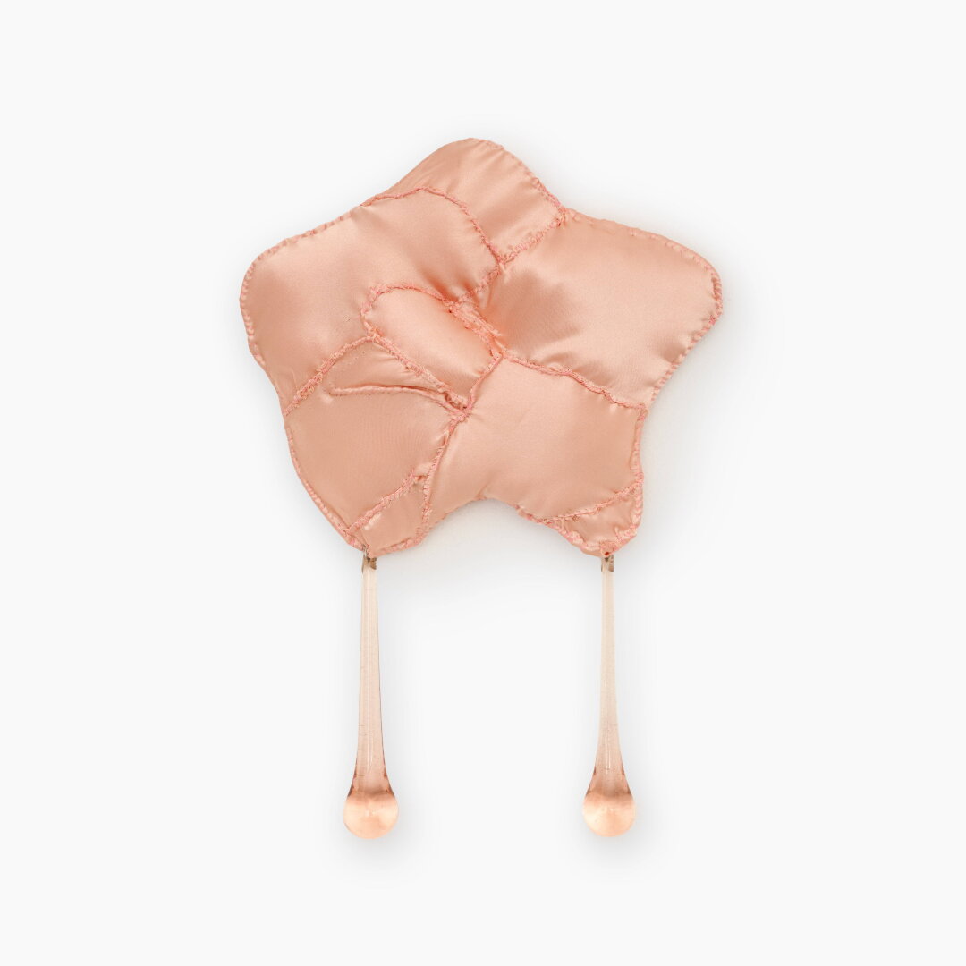 Алина Бровина «ТЫ МОЯ ЗВЕЗДОЧКА!», Obdn, 40 000 руб.