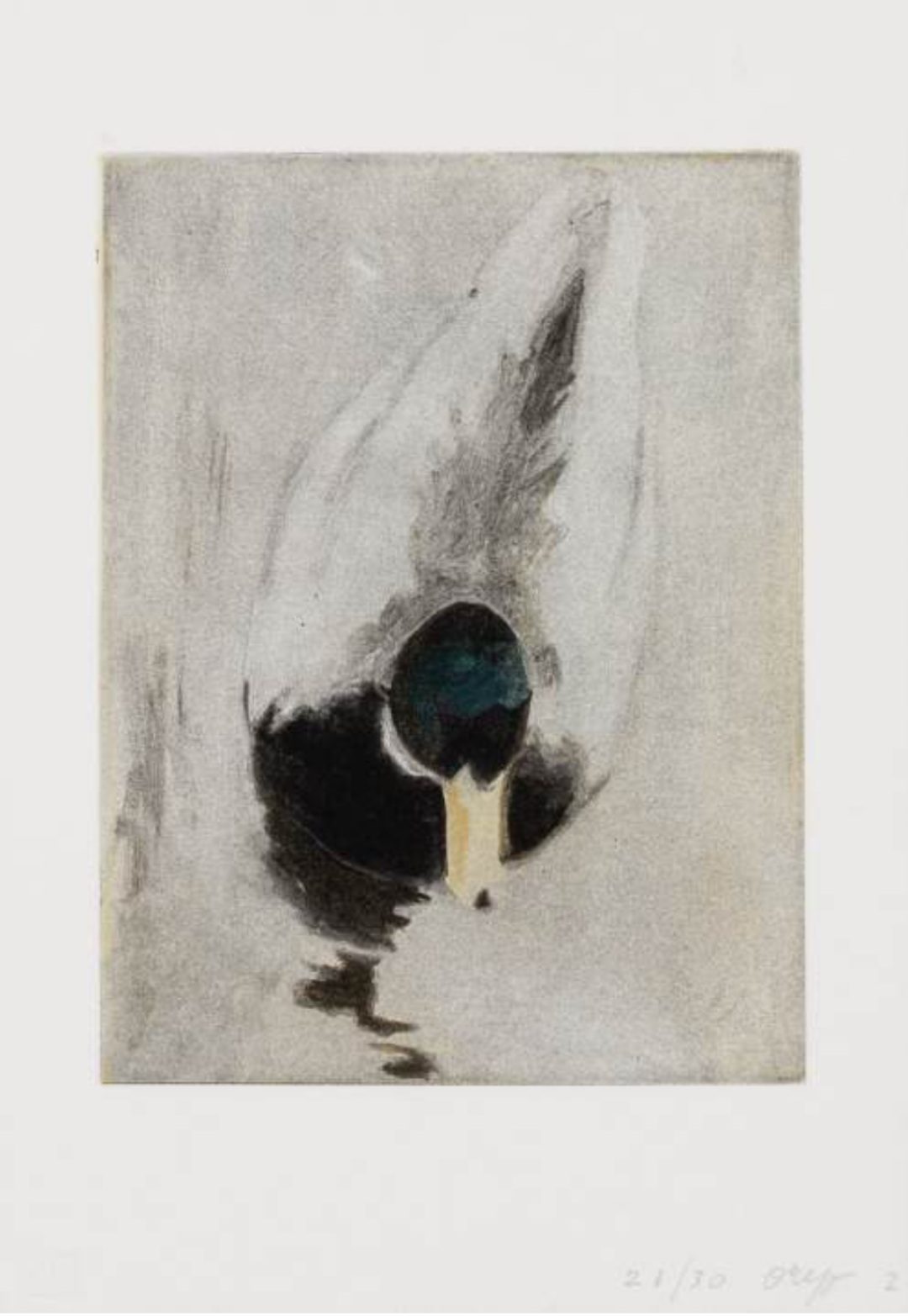 Фотогравюра без названия, Ольга Чернышева