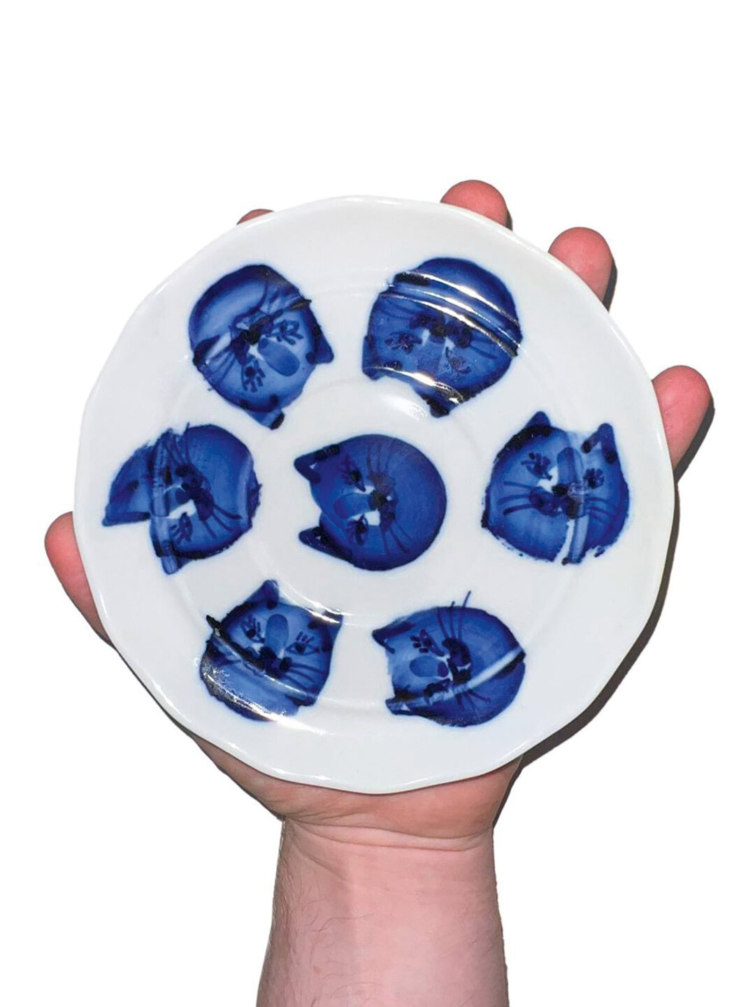 Котоблюдечко Вити Фицнера