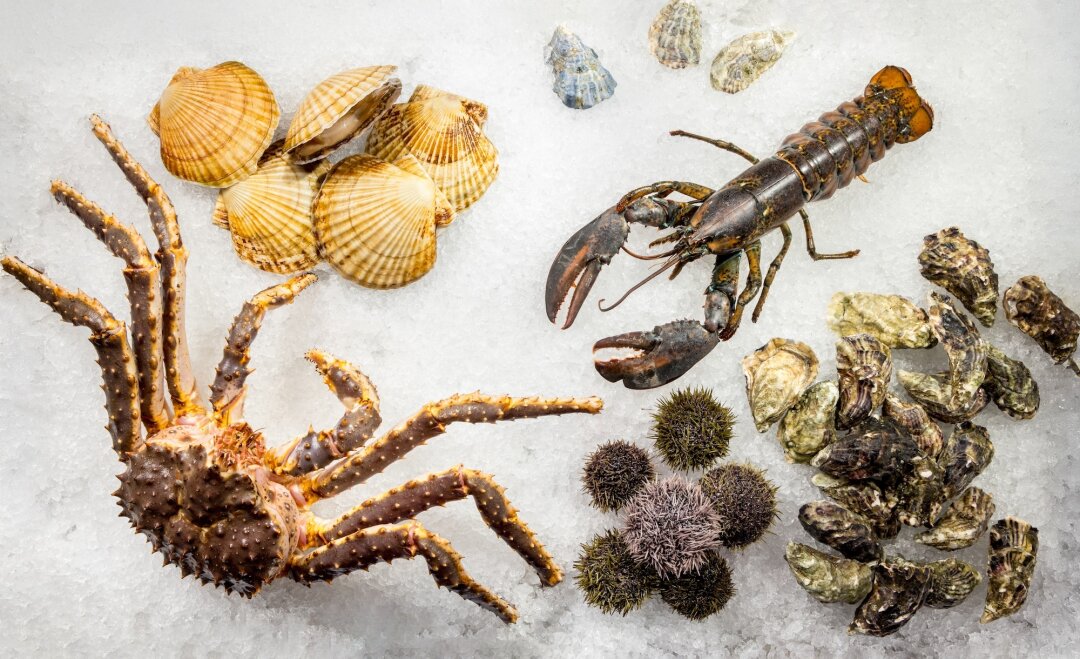 В «Мясо Мясо» появился аквариум с живыми лобстерами, крабами и морскими ежами: выбираете деликатес — и его готовят при вас.