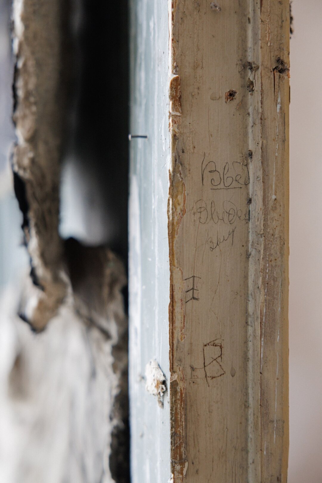 Зарубки роста