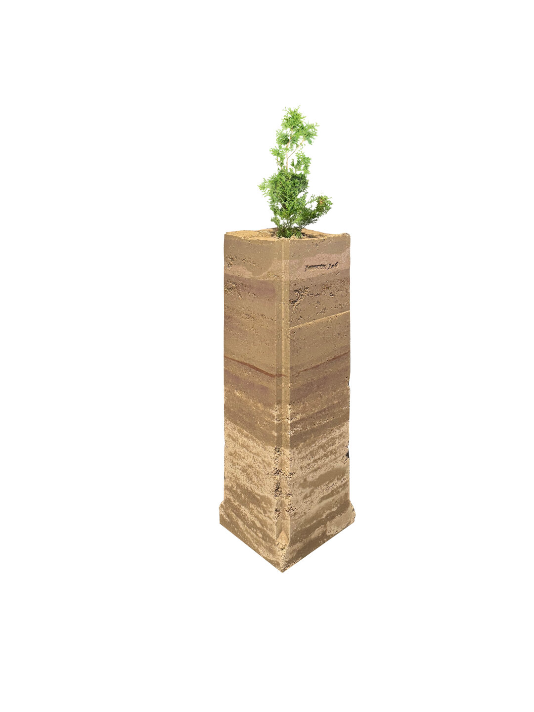 Землебитная стела на фестивале «Архитектон» возводилась (утрамбовывалась!) прямо в «Манеже»