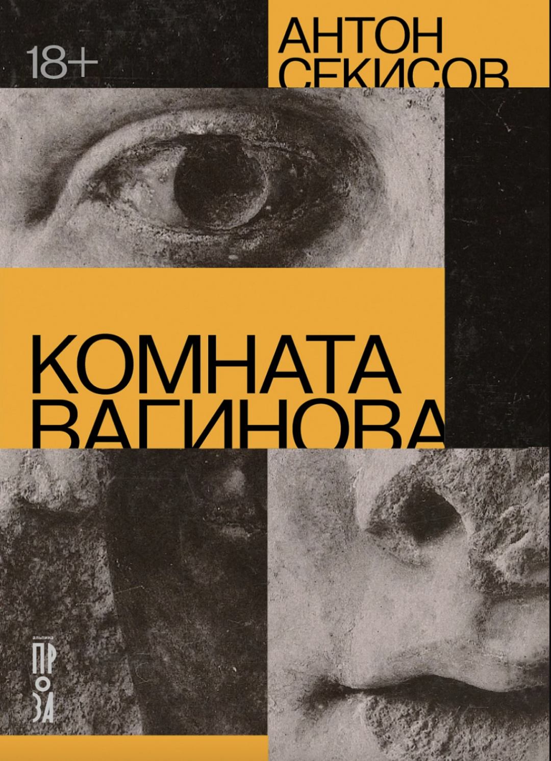 Роман Антона Секисова «Комната Вагинова»