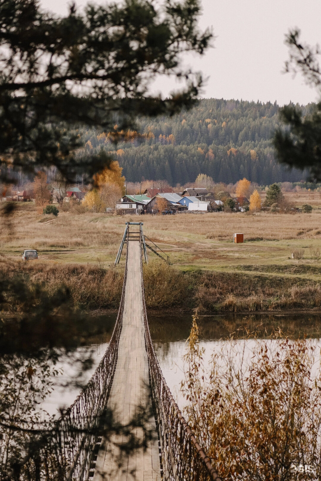 Фото Дарины Чечулиной с сайта 2ГИС
