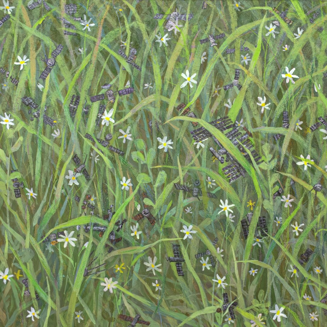 «Околоземельная орбита» Ани Шайдуровой