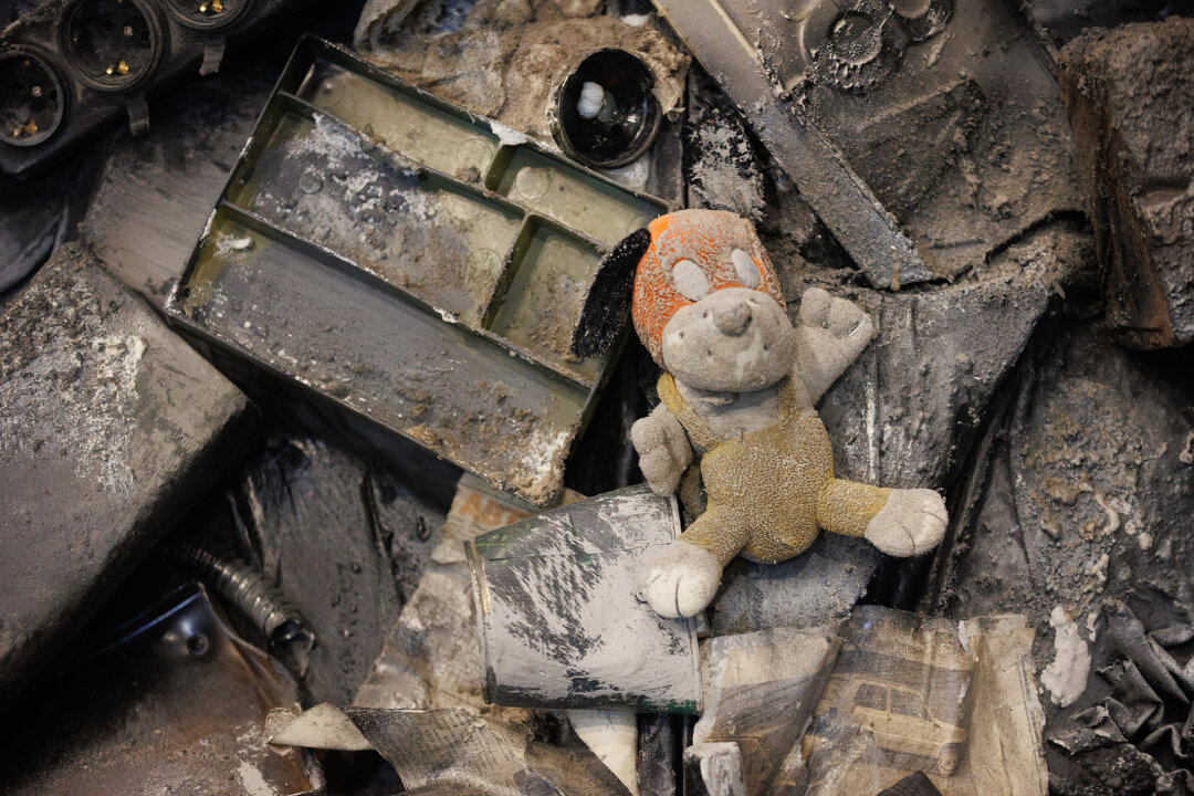 Фото: Стас Левшин