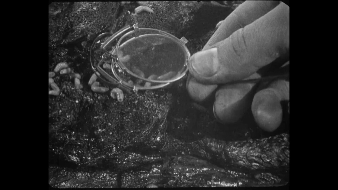 «Броненосец “Потемкин”»