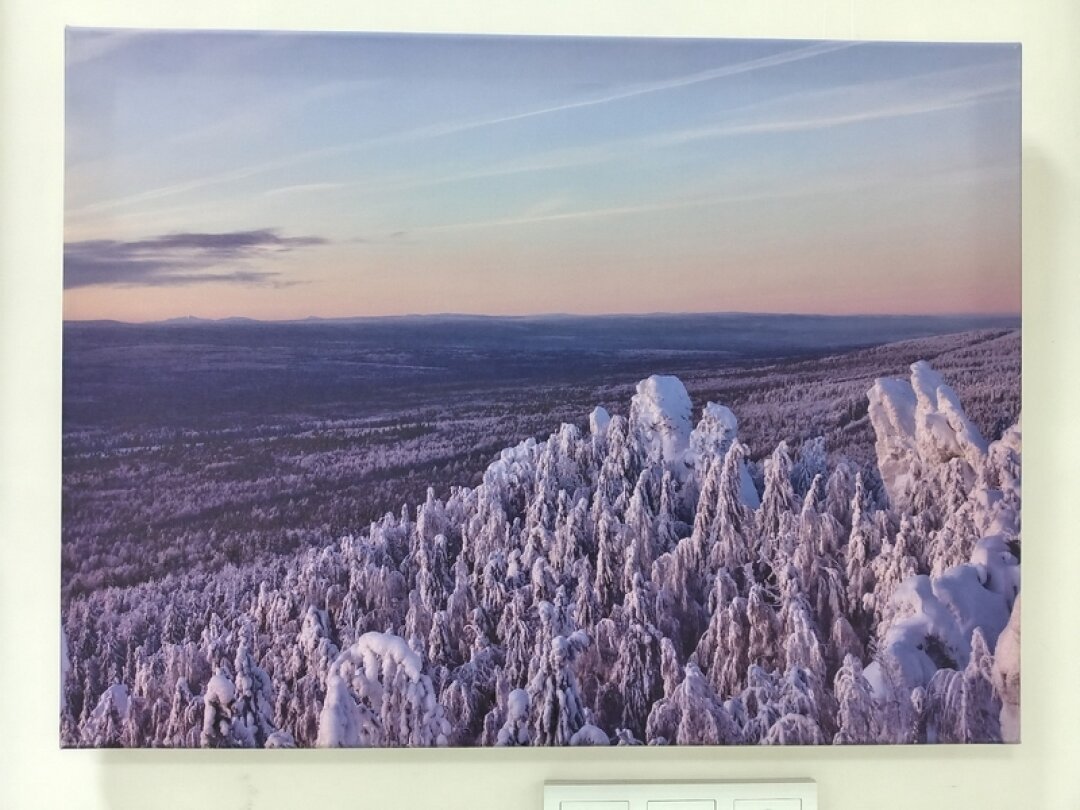 Открытие фотовыставки «Лики природы»