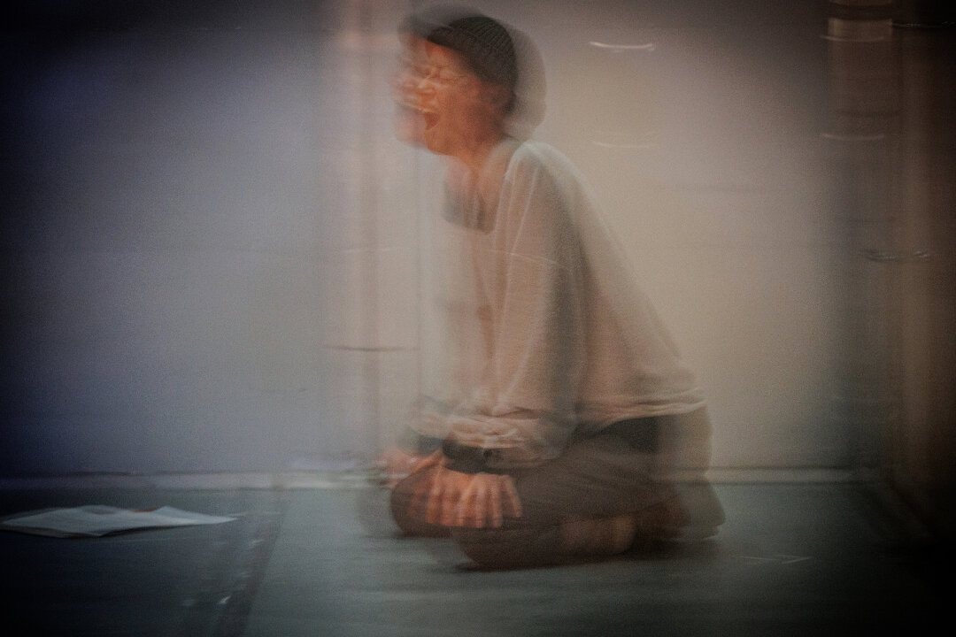 «Человеческий голос»