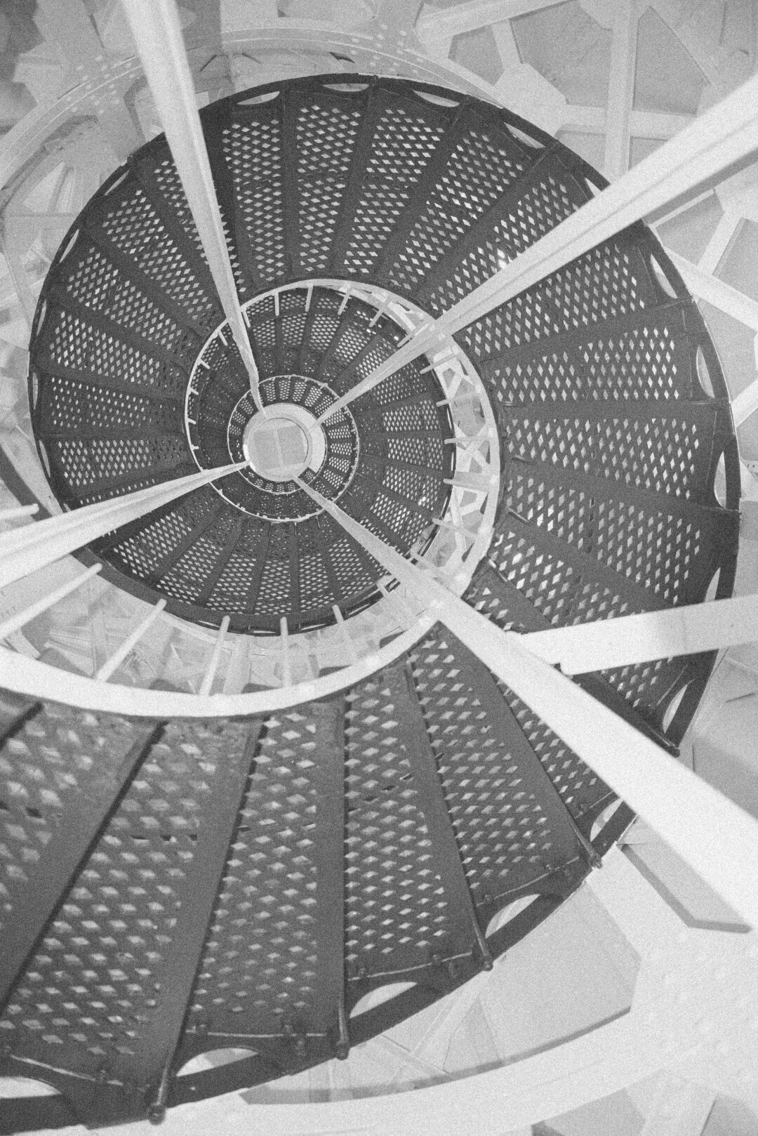 Фото: Юлия Павлова