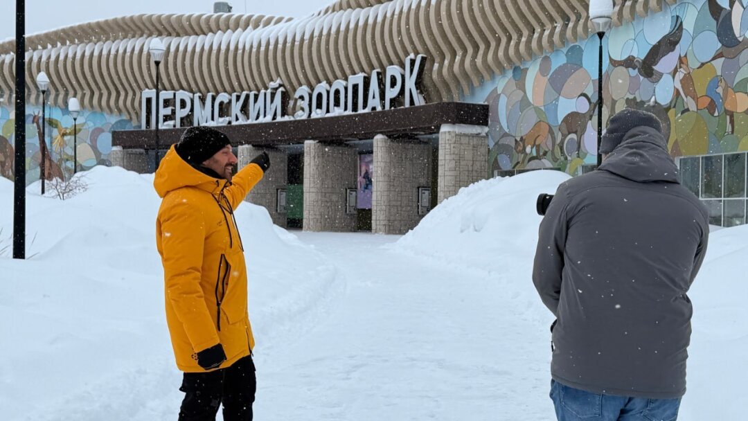 Съемки шоу «Поедем, поедим!» в Пермском зоопарке