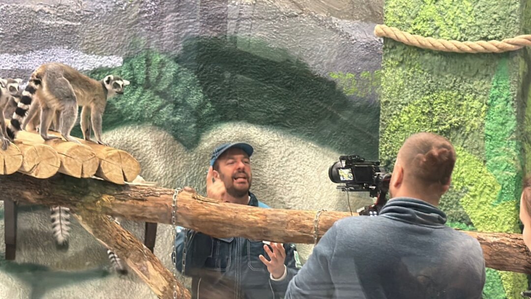 Съемки шоу «Поедем, поедим!» в Пермском зоопарке