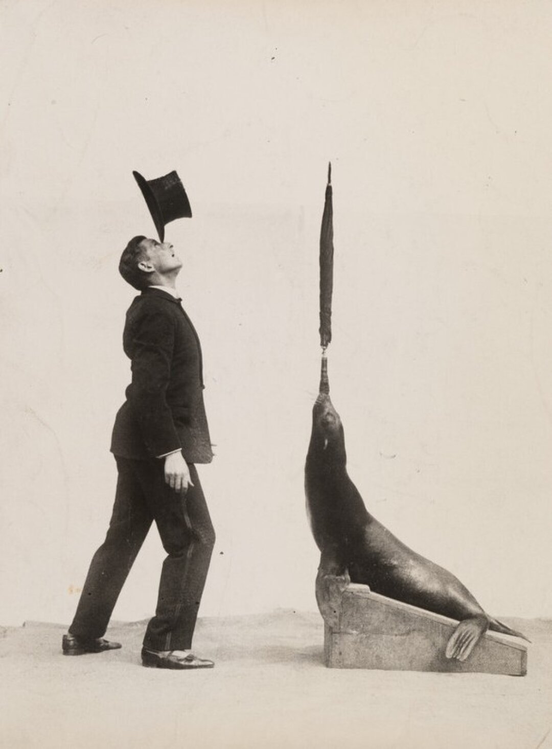 Неизвестный автор. Дрессировщик Палермо и морской лев. 1928