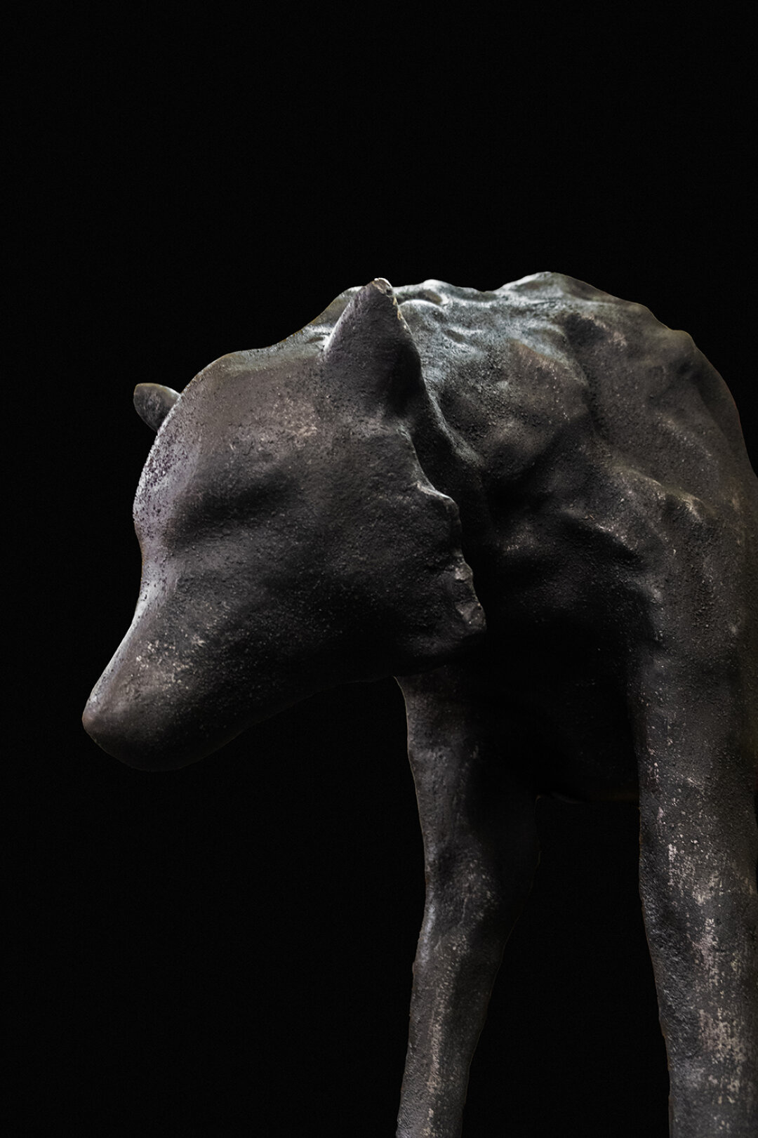 Михаил Першко. Зверь. 2026