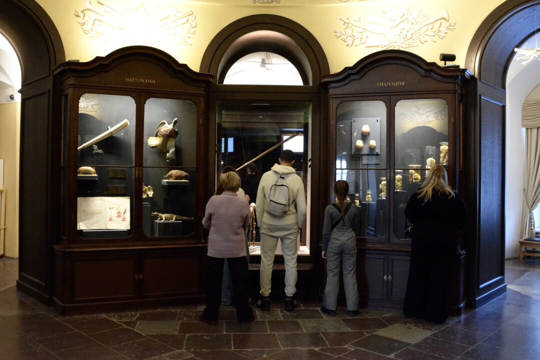 А это постоянная экспозиция «Петровская Кунсткамера», в которую вошла знаменитая коллекция Фредерика Рюйша