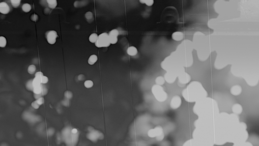 Александра Генералова. Симбиоз