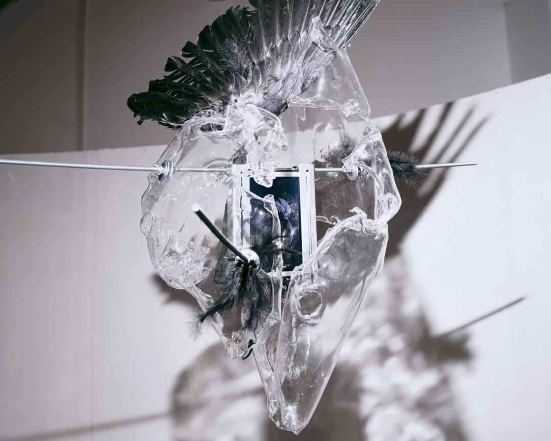 Катерина Кано. Черный ворон. 2025