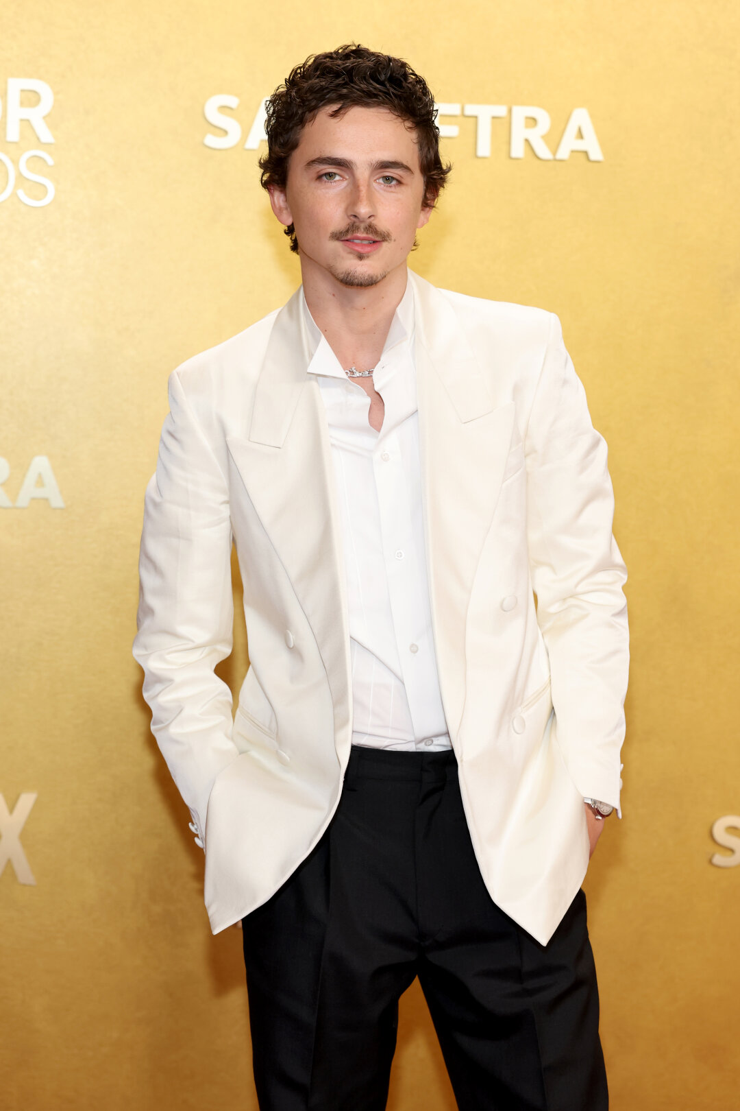 Тимоти Шаламе в Prada появился на красной дорожке не с Кайли Дженнер, а мамой. Во время открытия премии комедийная актриса Лиза Энн Уолтер пошутила о