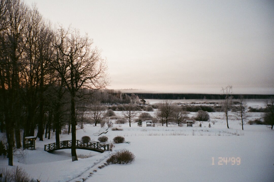 Вид из окон усадьбы «По следам Онегина