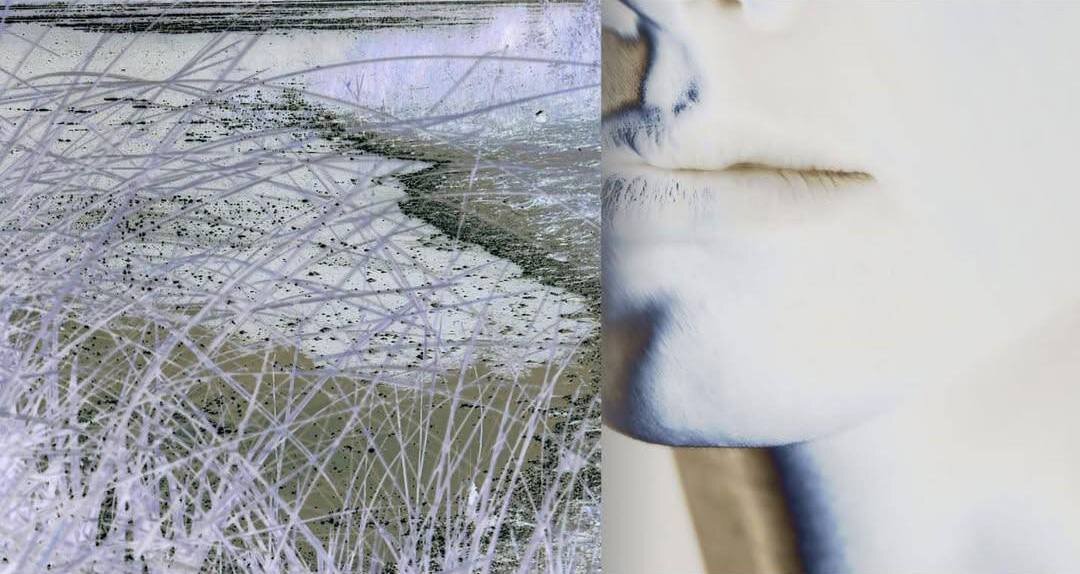 Лиза Юнг. Iridescence. 2022